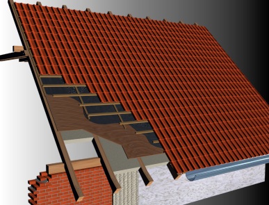 Выбор формы крыши